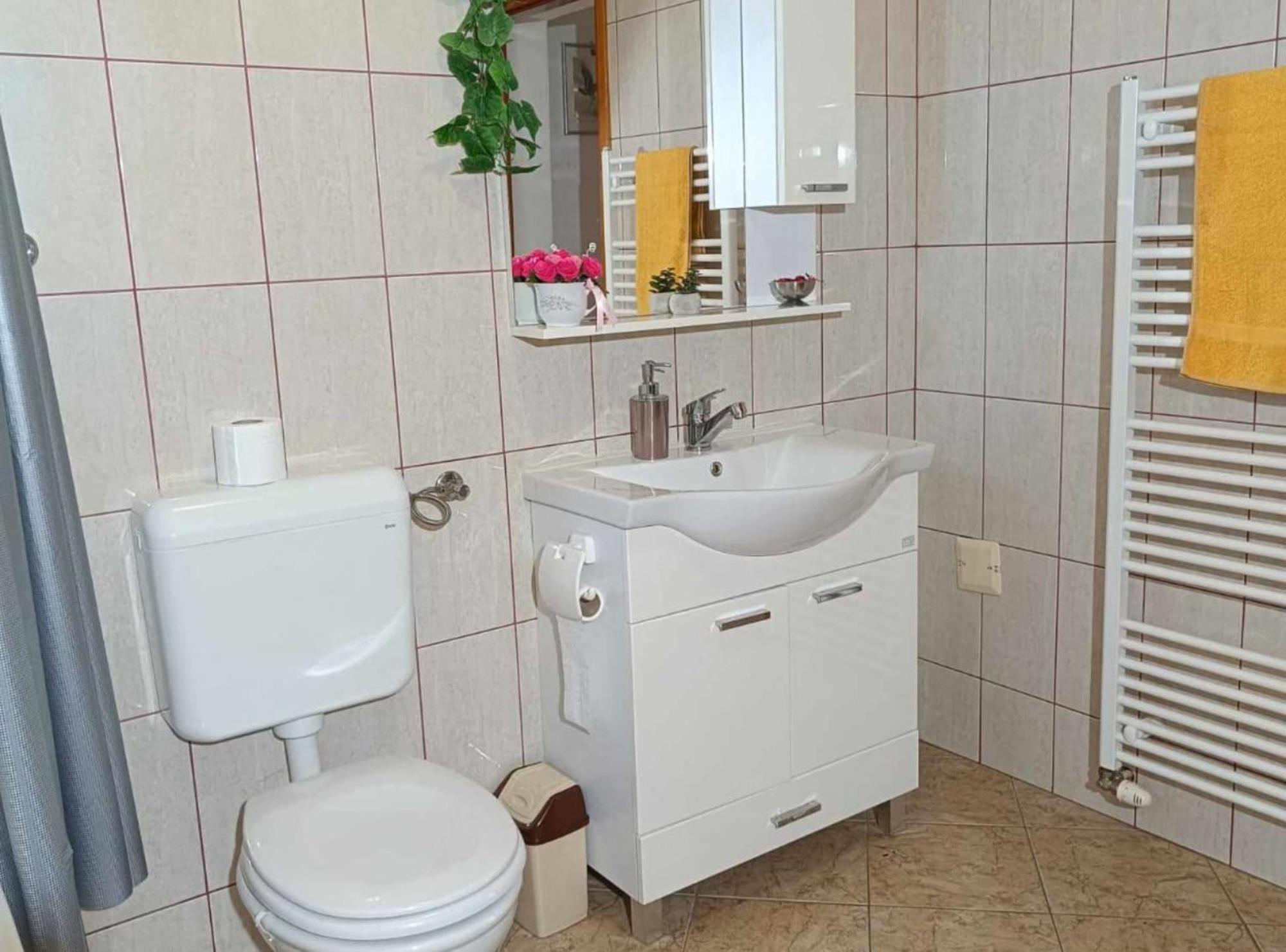 Apartmani Tea I Toni Gradiste 외부 사진